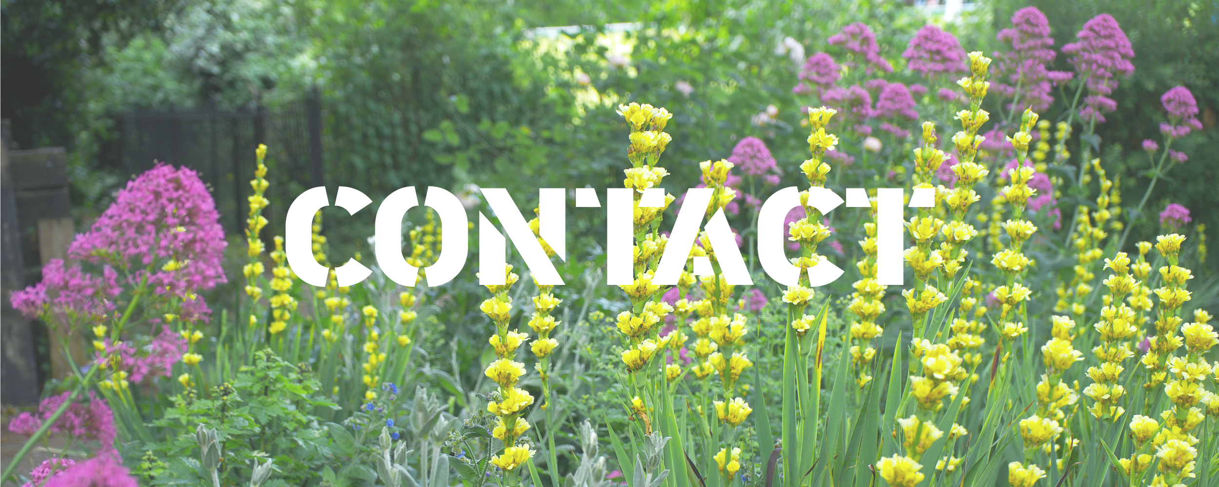 Contact-Banner